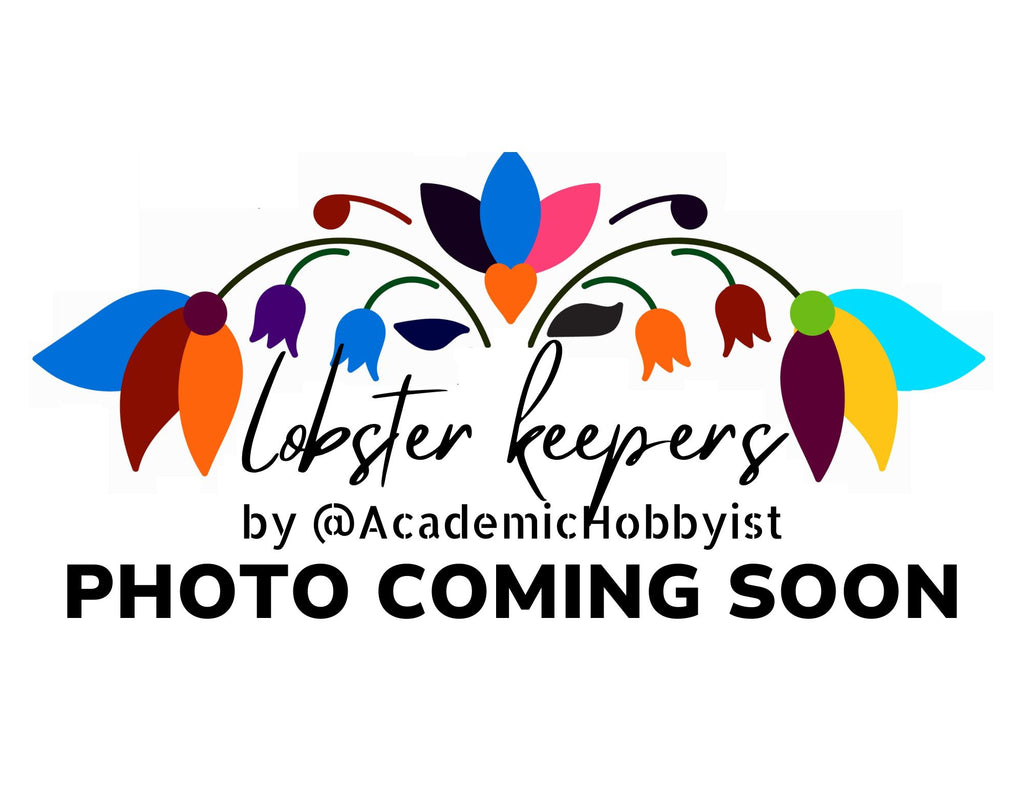 Lobster Keepers