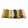 Blue Sky Fibers North Loop Wrap Kit -Kit 1 (Original) 24074794 | Kits at Michigan Fine Yarns