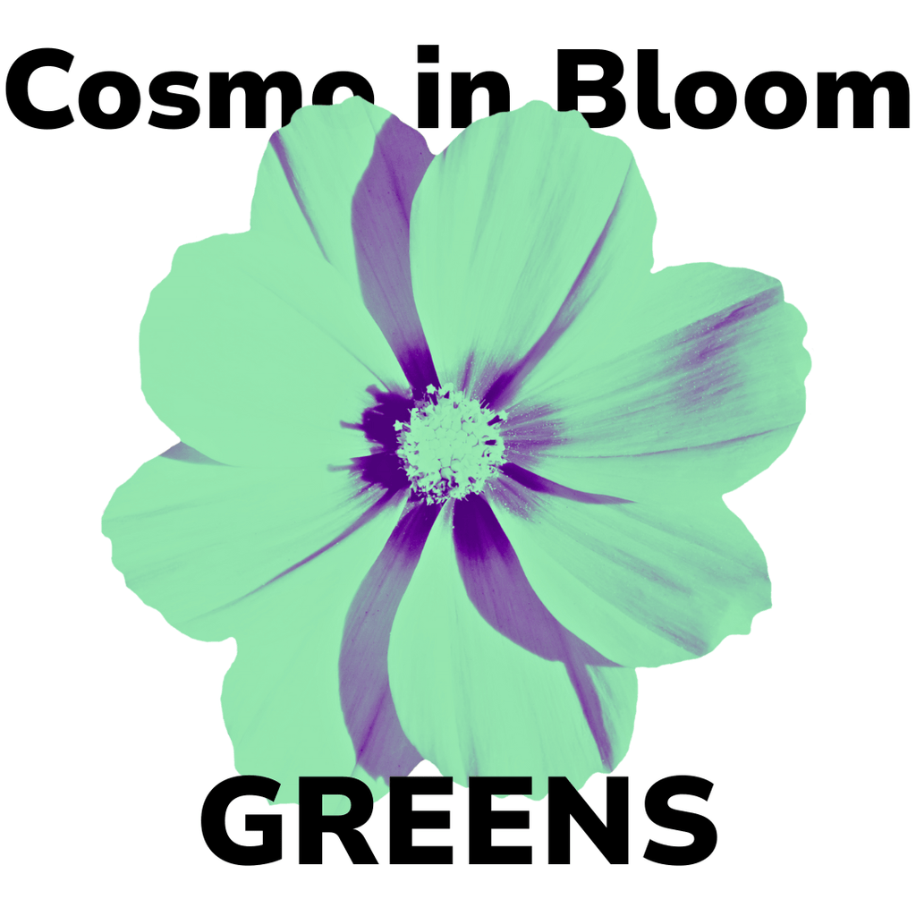 Koigu Cosmo in Bloom Kit - Greens | Kits at Michigan Fine Yarns