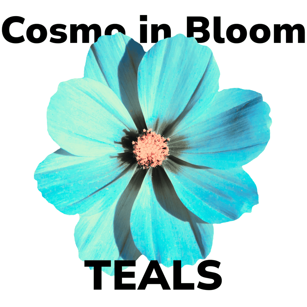 Koigu Cosmo in Bloom Kit - Teals | Kits at Michigan Fine Yarns