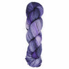 Araucania Huasco Sock Twilight Paints - 5002 - Purple Emperor | Yarn at Michigan Fine Yarns