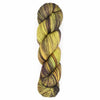 Araucania Huasco Sock Twilight Paints - 5008 - Monarch | Yarn at Michigan Fine Yarns
