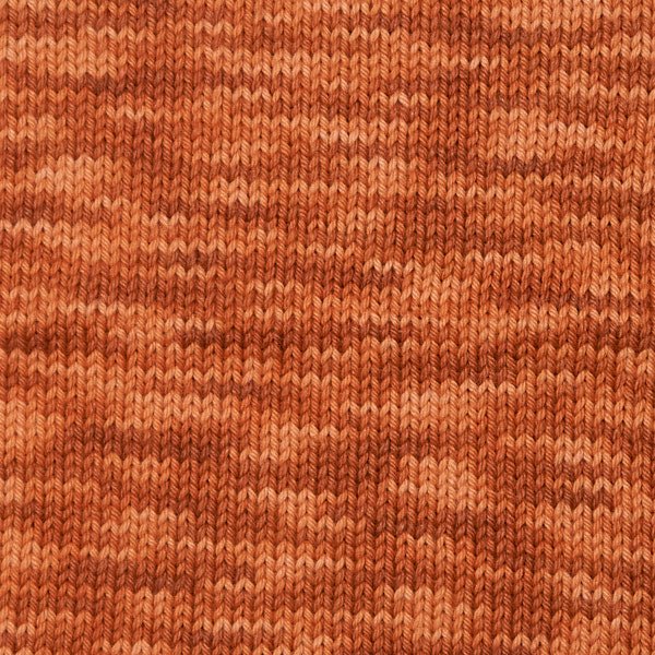 Berroco Berroco Vintage Handpaint - 5217 - Autumn Copper | Yarn at Michigan Fine Yarns