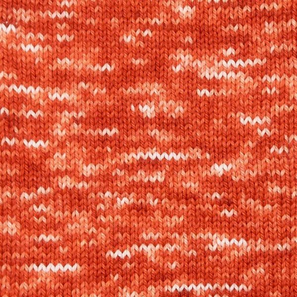 Berroco Vintage Baby Handpaint - 10186 - Lobster 780335101862 | Yarn at Michigan Fine Yarns