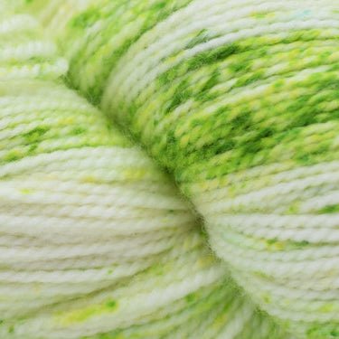 Bibi Yarn Bibi Fingering Twist Mini Skeins - Leap (LYS Day 2025) | Yarn at Michigan Fine Yarns