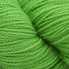 Bibi Yarn Bibi Fingering Twist Mini Skeins - Unlimited (LYS Day 2025) | Yarn at Michigan Fine Yarns