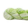Bibi Yarn Bibi Twist - Leap (LYS Day 2025) | Yarn at Michigan Fine Yarns