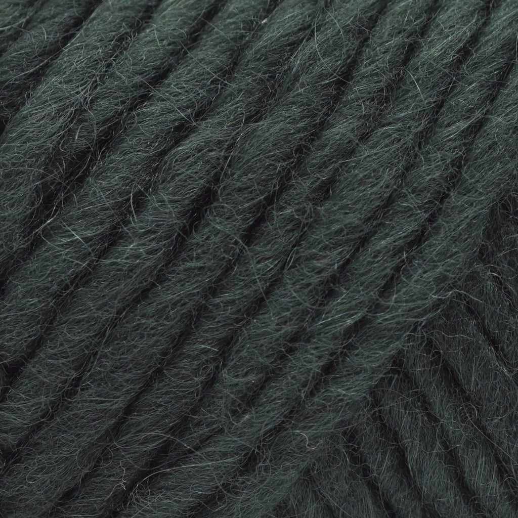 Brown Sheep Company Lamb's Pride Bulky - M172 - Deep Pine 759552013463 | Yarn at Michigan Fine Yarns