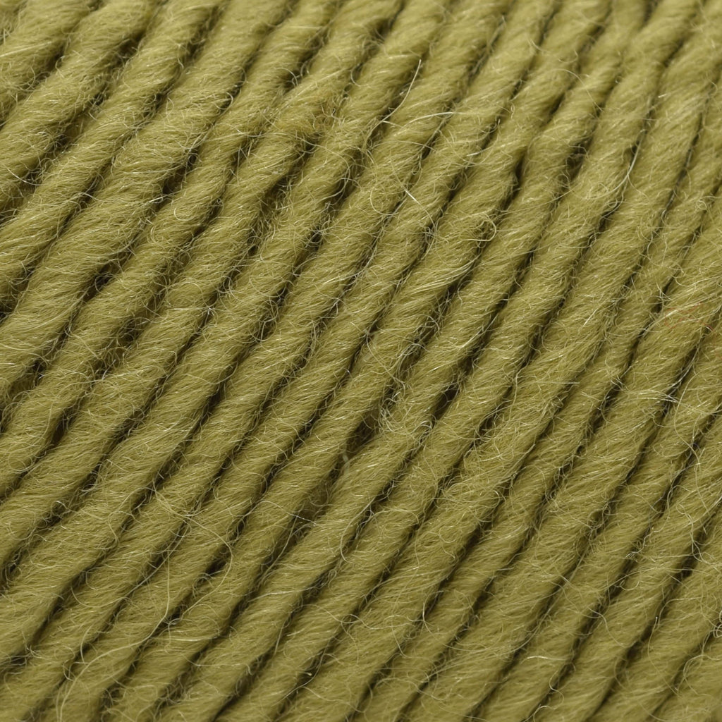 Brown Sheep Company Lamb's Pride Worsted - M171 - Fresh Moss 759552000050 | Yarn at Michigan Fine Yarns