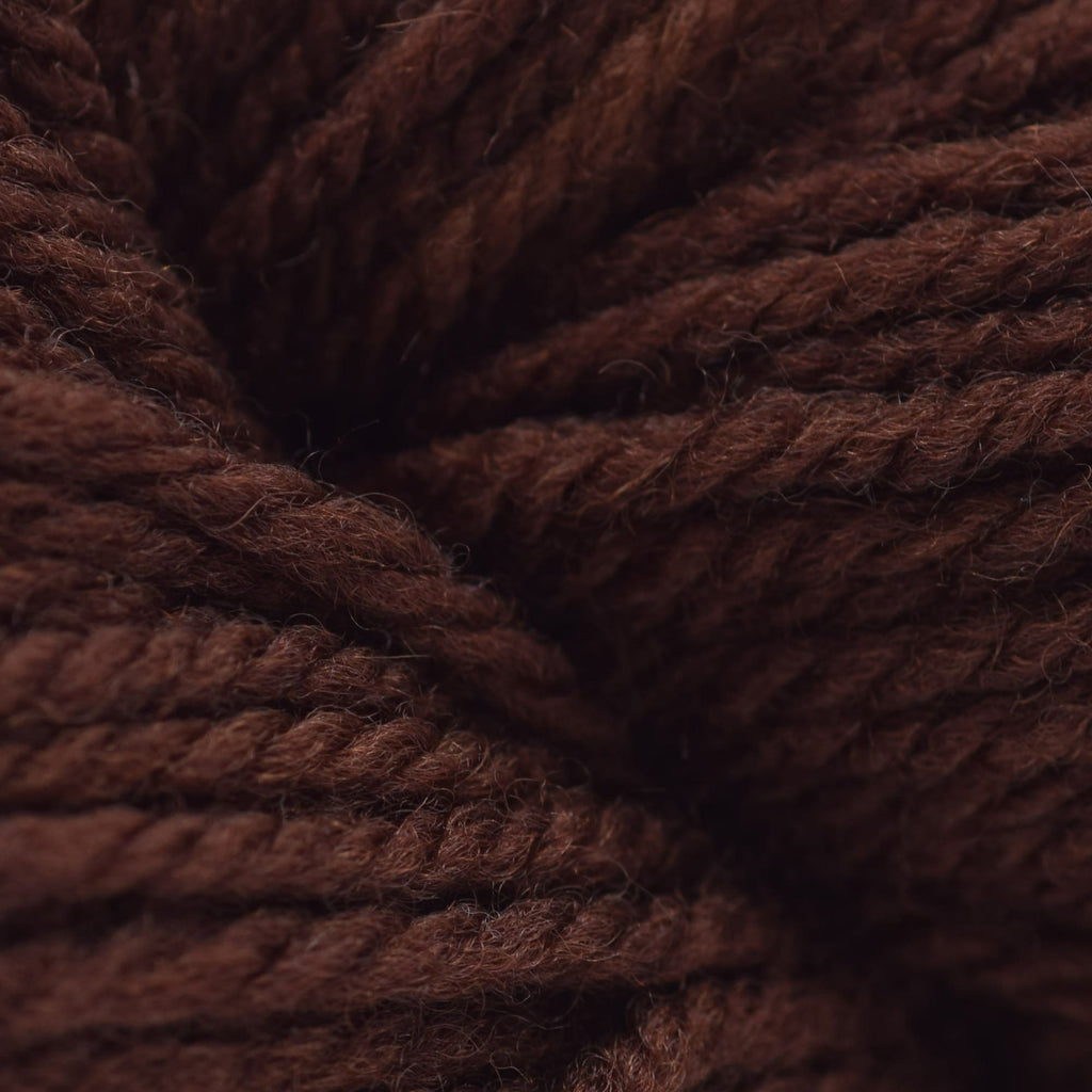 Brown Sheep Company Prairie Spun DK - 40 - Red Cedar 759552022113 | Yarn at Michigan Fine Yarns