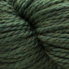 Cascade Yarns 128 Superwash - 867 - Lichen 886904022535 | Yarn at Michigan Fine Yarns