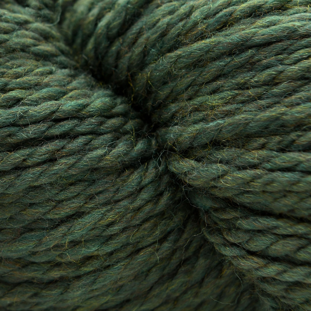 Cascade Yarns 128 Superwash - 867 - Lichen 886904022535 | Yarn at Michigan Fine Yarns