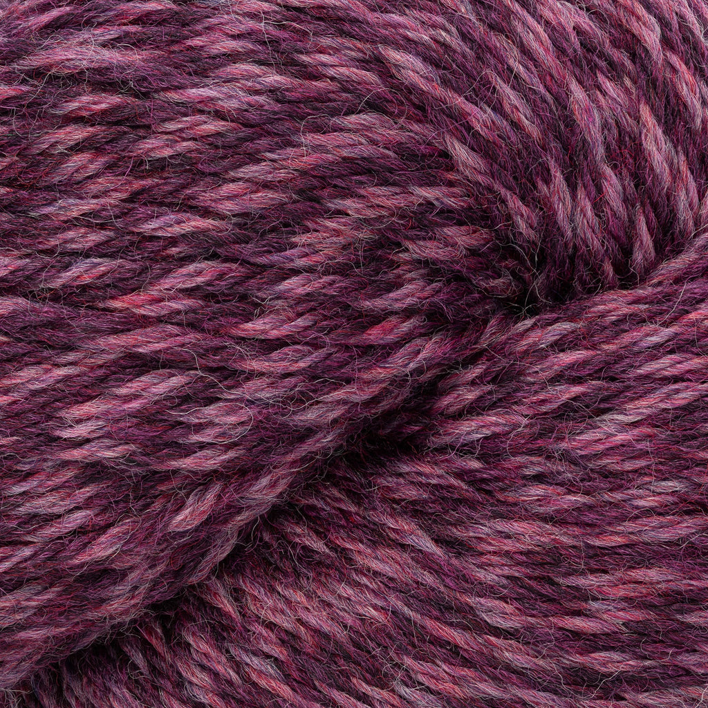 Cascade Yarns 220 (Continued) - 1103 - Razzleberry Marl | Yarn at Michigan Fine Yarns