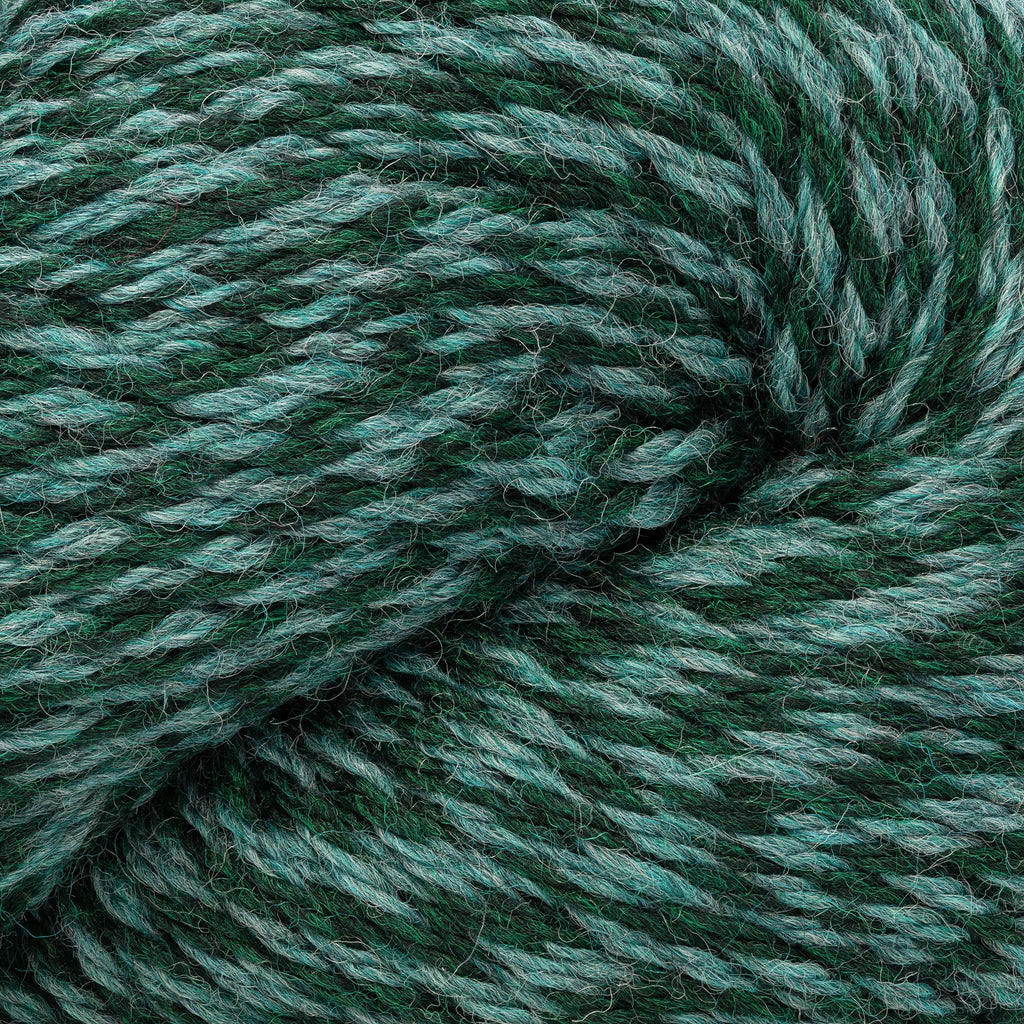 Cascade Yarns 220 (Continued) - 1104 - Forest Marl | Yarn at Michigan Fine Yarns