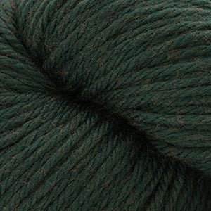 Cascade Yarns 220 Superwash Aran - 258 - Pine Grove | Yarn at Michigan Fine Yarns