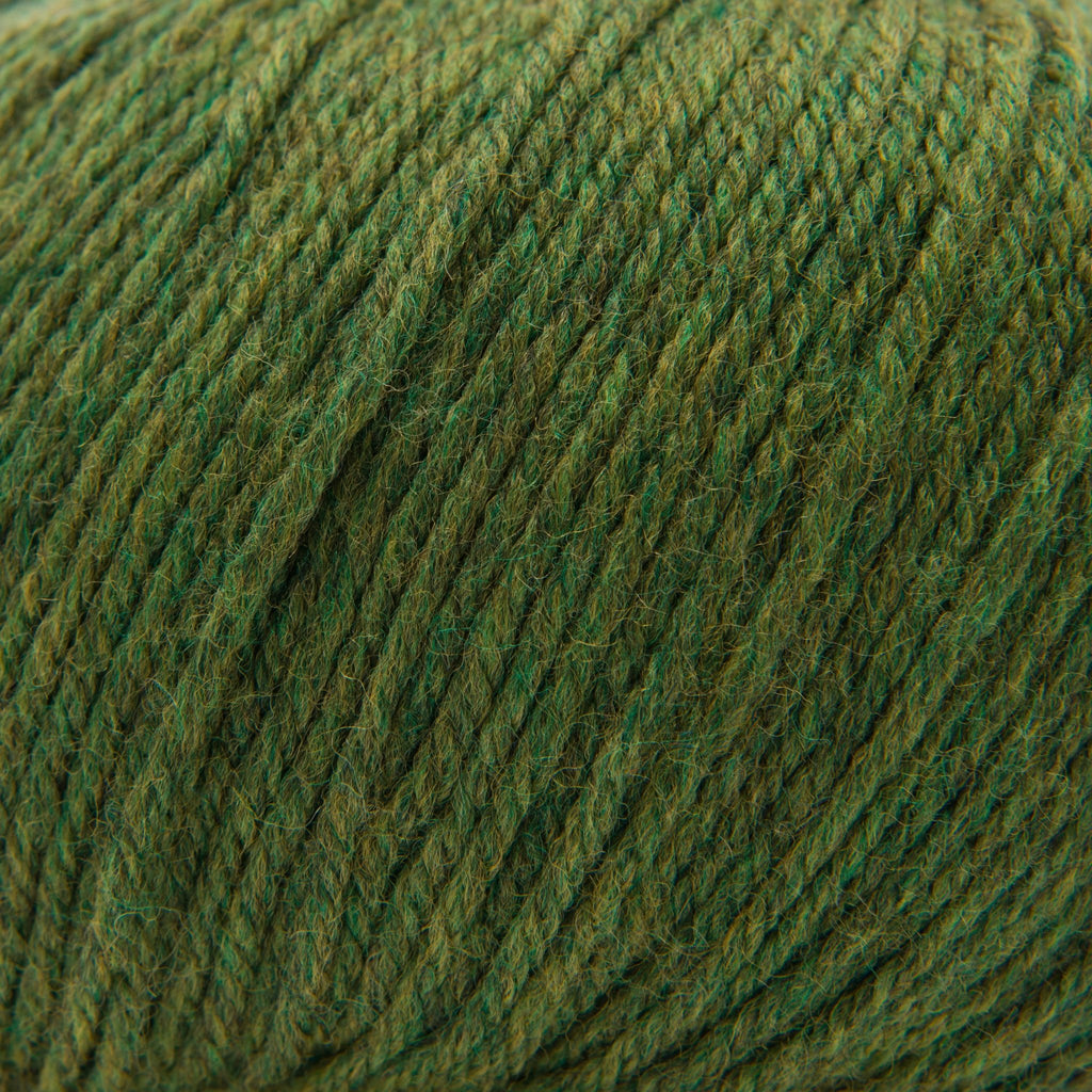 Cascade Yarns 220 Superwash (Continued) - 376 - Irelande | Yarn at Michigan Fine Yarns