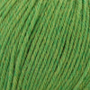 Cascade Yarns 220 Superwash (Continued) - 384 - Fern Heather | Yarn at Michigan Fine Yarns