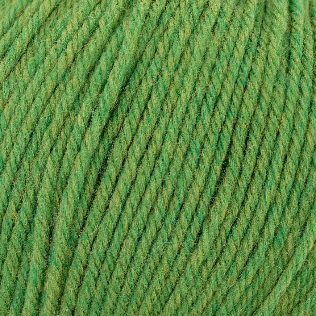 Cascade Yarns 220 Superwash (Continued) - 384 - Fern Heather | Yarn at Michigan Fine Yarns