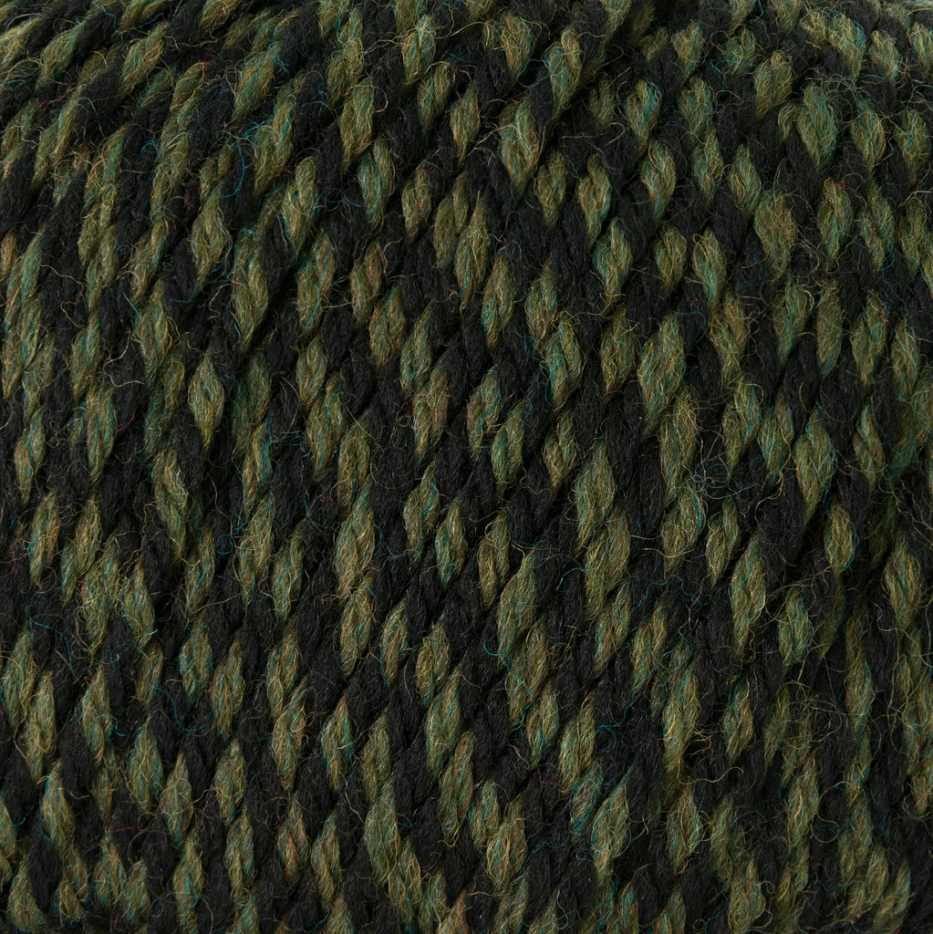 Cascade Yarns 220 Superwash (Continued) - 385 - Lichen Twist | Yarn at Michigan Fine Yarns