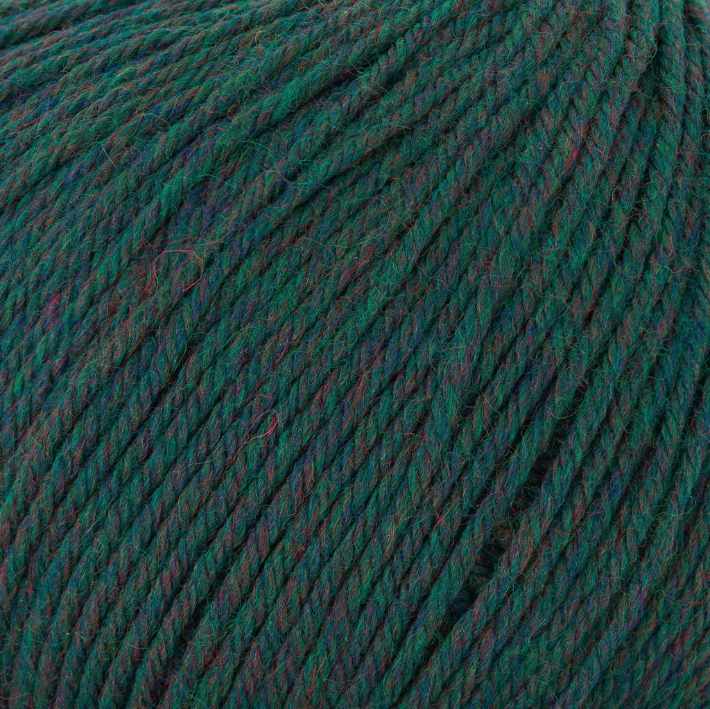 Cascade Yarns 220 Superwash (Continued) - 386 - Rainforest Heather | Yarn at Michigan Fine Yarns