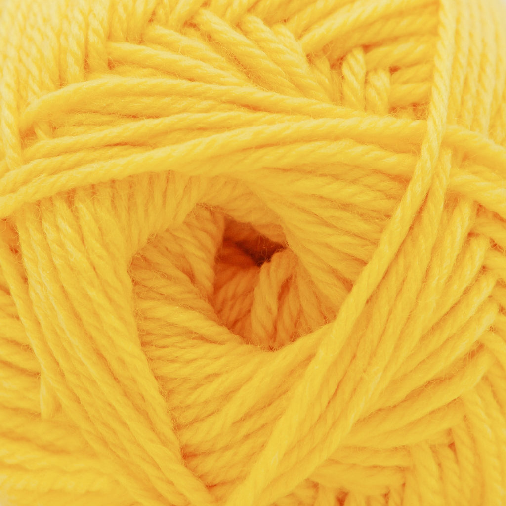 Cascade Yarns 220 Superwash Merino - 111 - Freesia 886904066607 | Yarn at Michigan Fine Yarns