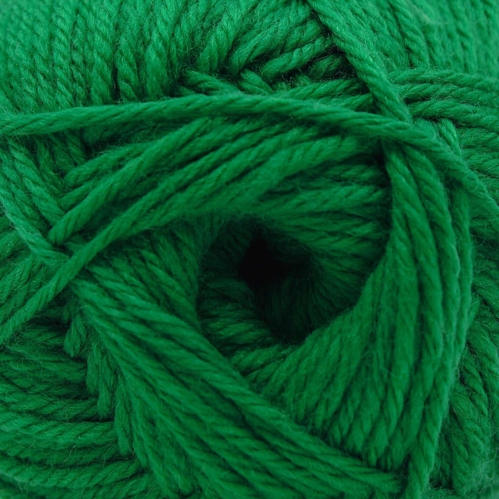 Cascade Yarns 220 Superwash Merino - 113 - Jolly Green 886904066621 | Yarn at Michigan Fine Yarns