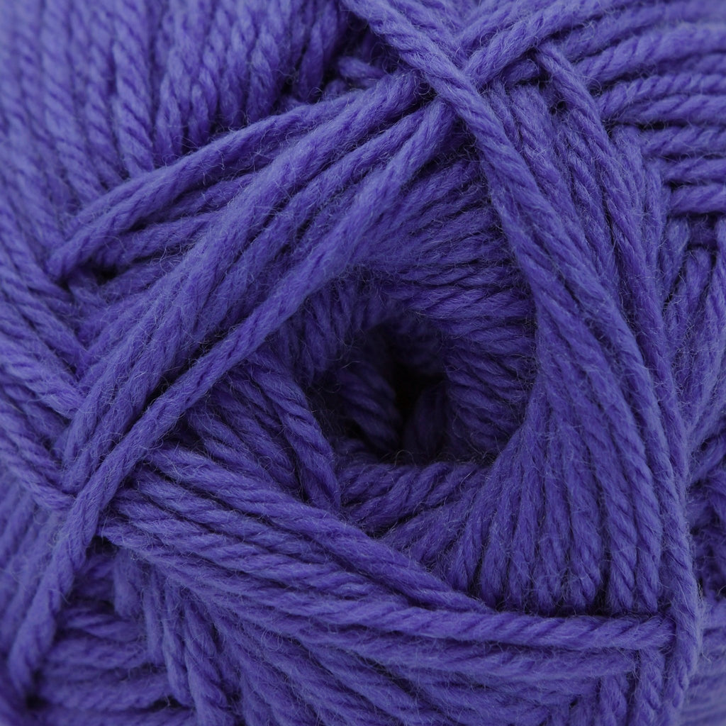 Cascade Yarns 220 Superwash Merino - 116 - Blue Iris 886904066652 | Yarn at Michigan Fine Yarns