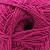 Cascade Yarns 220 Superwash Merino - 118 - Very Berry 886904066676 | Yarn at Michigan Fine Yarns