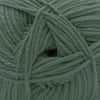 Cascade Yarns 220 Superwash Merino - 126 - Lily Pad 886904068441 | Yarn at Michigan Fine Yarns