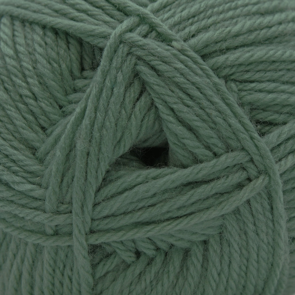 Cascade Yarns 220 Superwash Merino - 126 - Lily Pad 886904068441 | Yarn at Michigan Fine Yarns