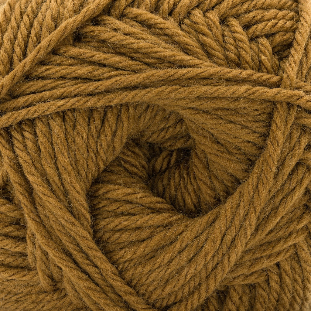 Cascade Yarns 220 Superwash Merino - 132 - Golden Brown 886904076392 | Yarn at Michigan Fine Yarns