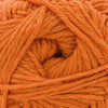 Cascade Yarns 220 Superwash Merino - 133 - Marmelade 886904076408 | Yarn at Michigan Fine Yarns