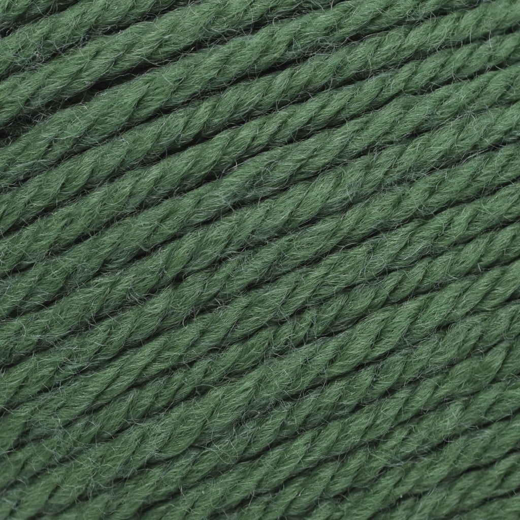Cascade Yarns 220 Superwash Merino - 16 - Verdant Green 886904046692 | Yarn at Michigan Fine Yarns