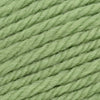 Cascade Yarns 220 Superwash Merino - 17 - Green Tea | Yarn at Michigan Fine Yarns