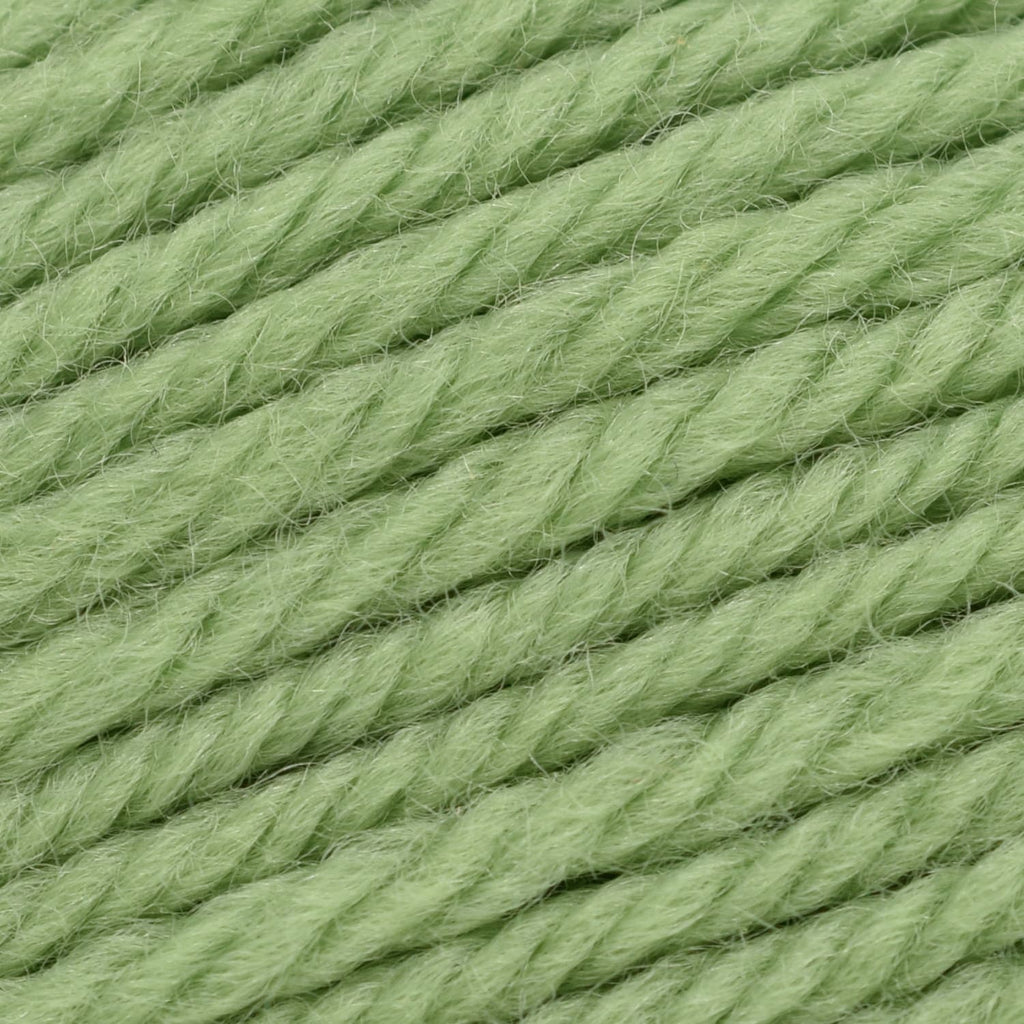 Cascade Yarns 220 Superwash Merino - 17 - Green Tea | Yarn at Michigan Fine Yarns
