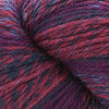 Cascade Yarns 220 Superwash Sport Wave - 104 - Berries | Yarn at Michigan Fine Yarns
