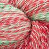 Cascade Yarns 220 Superwash Wave - 129 - Holly | Yarn at Michigan Fine Yarns