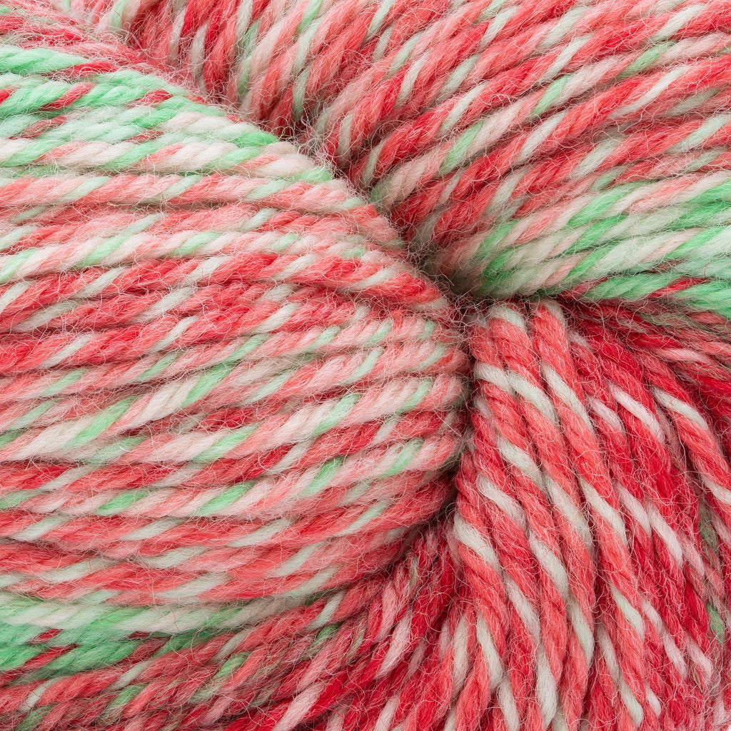 Cascade Yarns 220 Superwash Wave - 129 - Holly | Yarn at Michigan Fine Yarns
