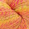 Cascade Yarns 220 Superwash Wave - 130 - Day Glo | Yarn at Michigan Fine Yarns