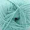 Cascade Yarns Anchor Bay - 41 - Aqua Glass | Yarn at Michigan Fine Yarns