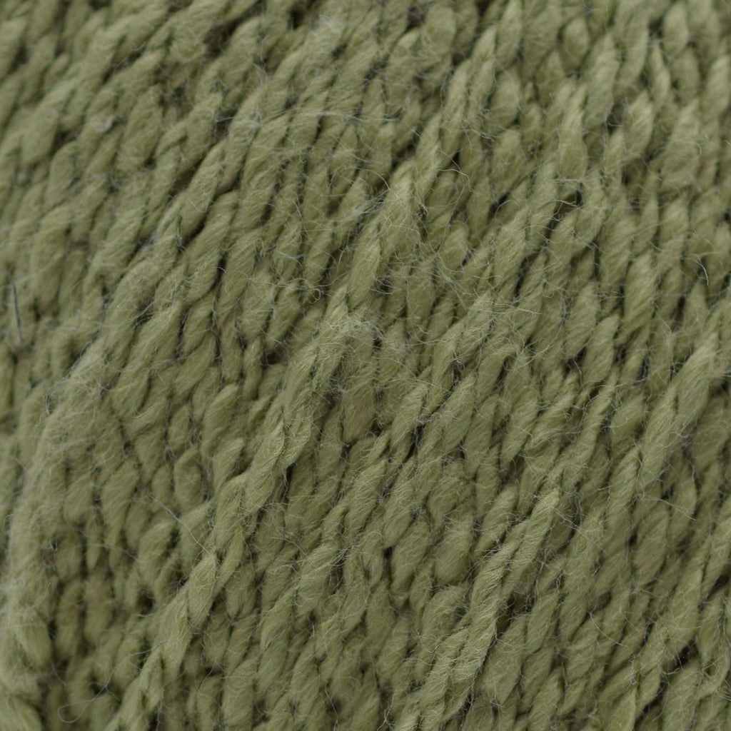 Cascade Yarns Fixation - 5606 - Fern 886904042496 | Yarn at Michigan Fine Yarns