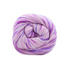 Cascade Yarns Heritage Prints - 140 - Southwest 886904073261 | Yarn at Michigan Fine Yarns