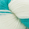 Cascade Yarns Heritage Tie Dye - 305 - Mint Leaf | Yarn at Michigan Fine Yarns