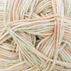 Cascade Yarns Pandamonium Multis - 412 - Cacti | Yarn at Michigan Fine Yarns
