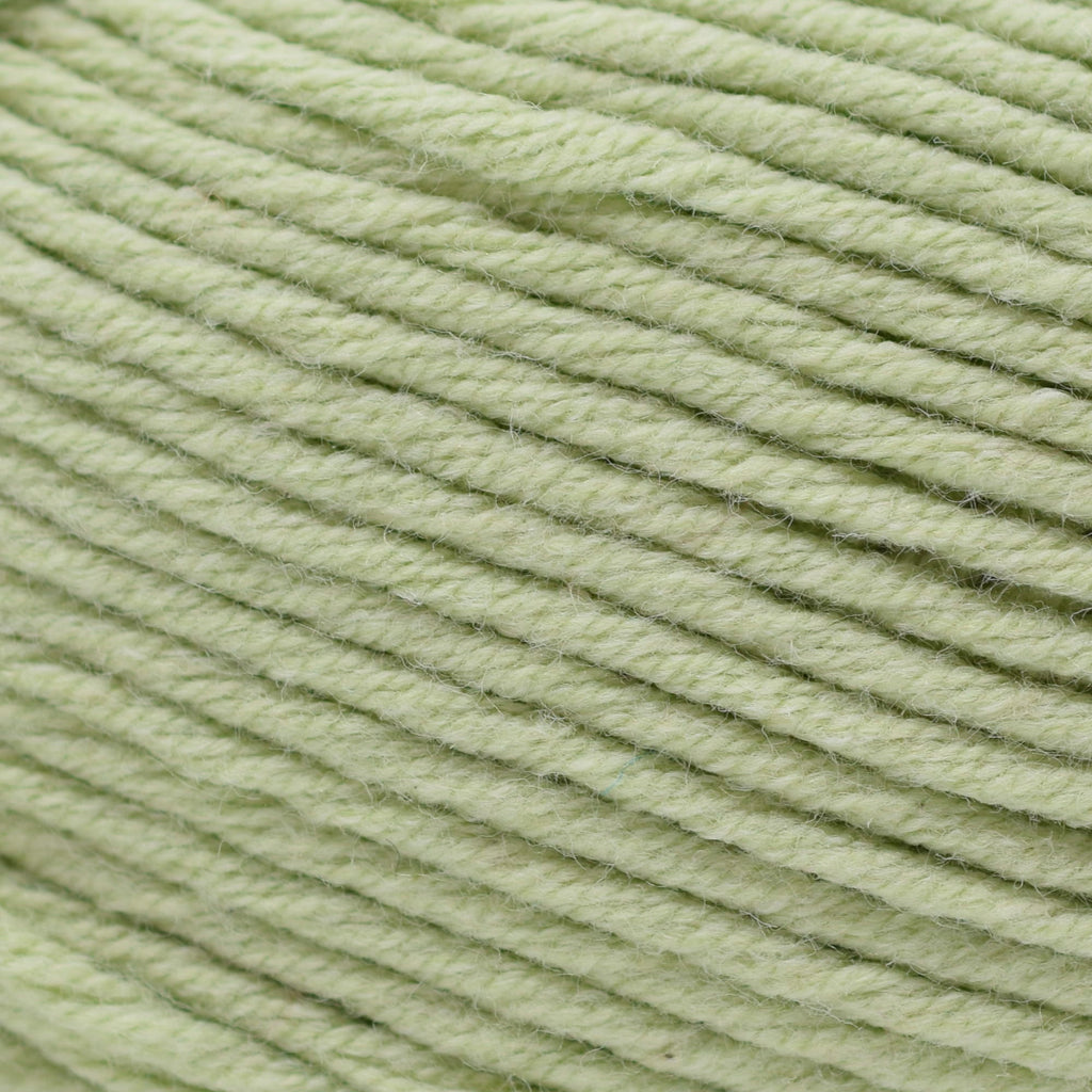 Cascade Yarns Sarasota - 201 - Baby Lime | Yarn at Michigan Fine Yarns