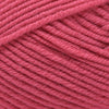 Ella Rae Cashmereno Sport -Punch #63 | Yarn at Michigan Fine Yarns