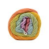 Juniper Moon Farm Cumulus Rainbow -217 - Prismastic Kaleidoscope | Yarn at Michigan Fine Yarns