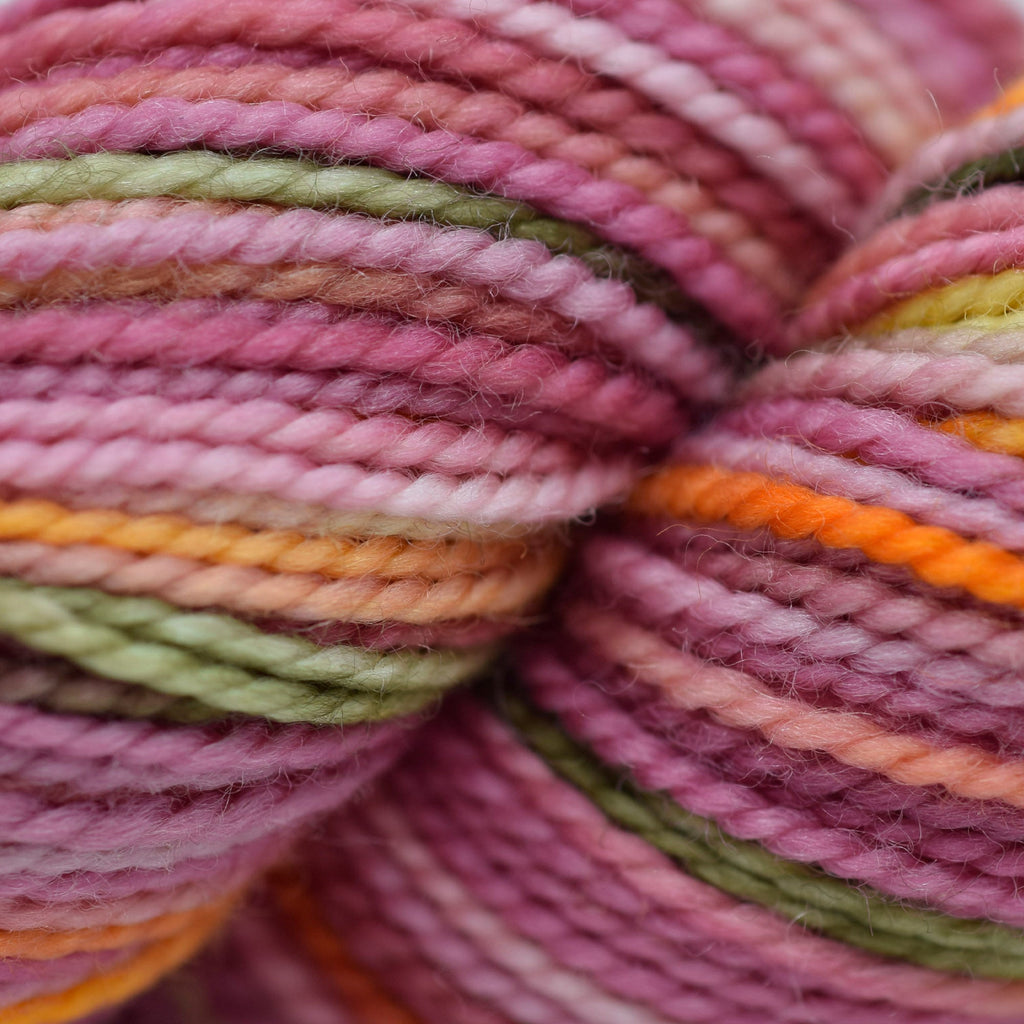 Koigu Koigu KPPPM (2 of 2) - 007 | Yarn at Michigan Fine Yarns