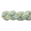 Koigu Koigu KPPPM (2 of 2) - Flower | Yarn at Michigan Fine Yarns