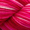Koigu Koigu KPPPM (2 of 2) - Oh Canada | Yarn at Michigan Fine Yarns
